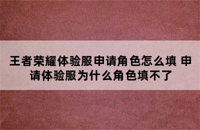 王者荣耀体验服申请角色怎么填 申请体验服为什么角色填不了